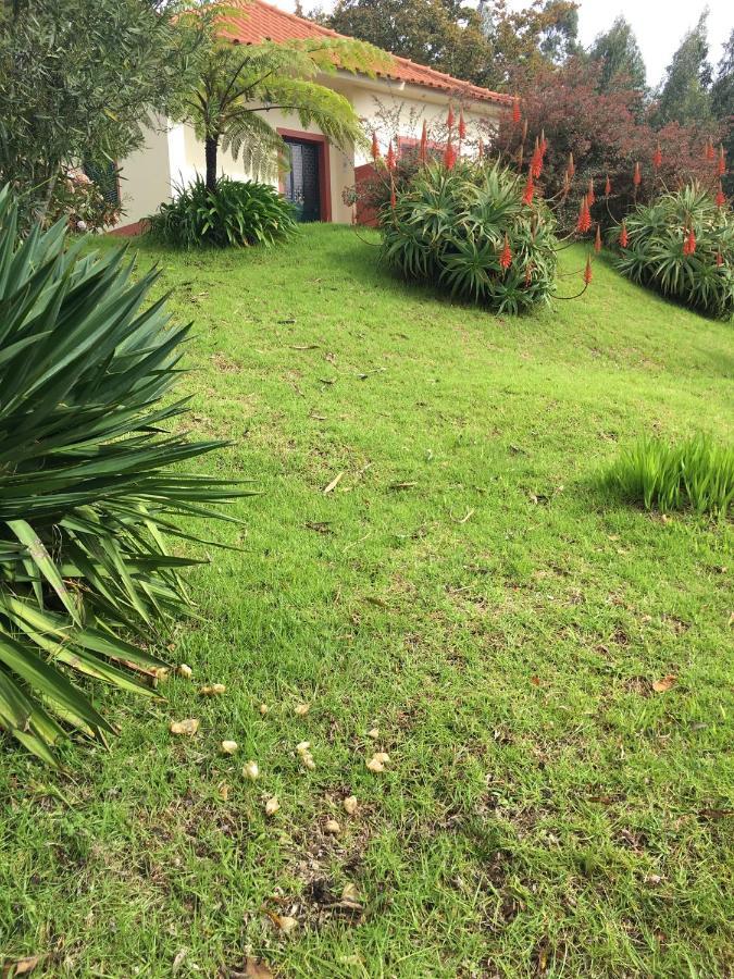 Bungalows Do Amparo بونتا دو بارغو المظهر الخارجي الصورة